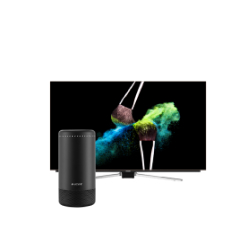 Televizyon
