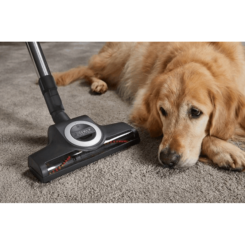 Miele Complete C3 Cat&Dog Bordeaux Süpürge - SGEF5