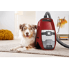 Miele Blizzard CX1 Cat&Dog Mango Kırmızı - SKCF5