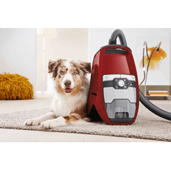 Miele Blizzard CX1 Cat&Dog Mango Kırmızı - SKCF5