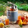 Ariete Vintage Narenciye Sıkacağı Mavi 0413/05