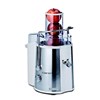 Ariete Centrika Katı Meyve Sıkacağı 0173/30