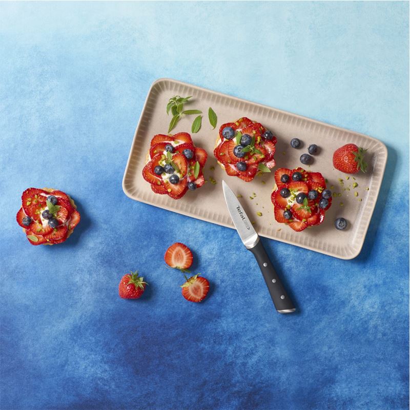 Tefal Ice Force 5 Parça Bıçak Seti