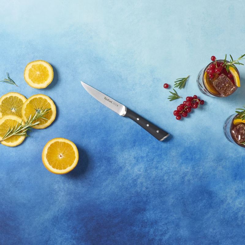 Tefal Ice Force 5 Parça Bıçak Seti