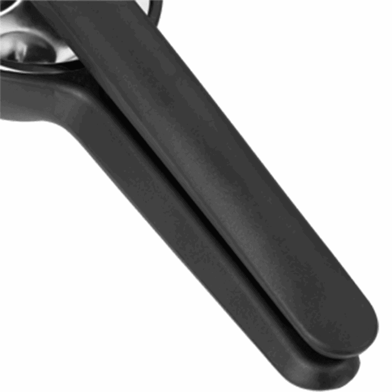 WMF Limon Sıkacağı 32 cm