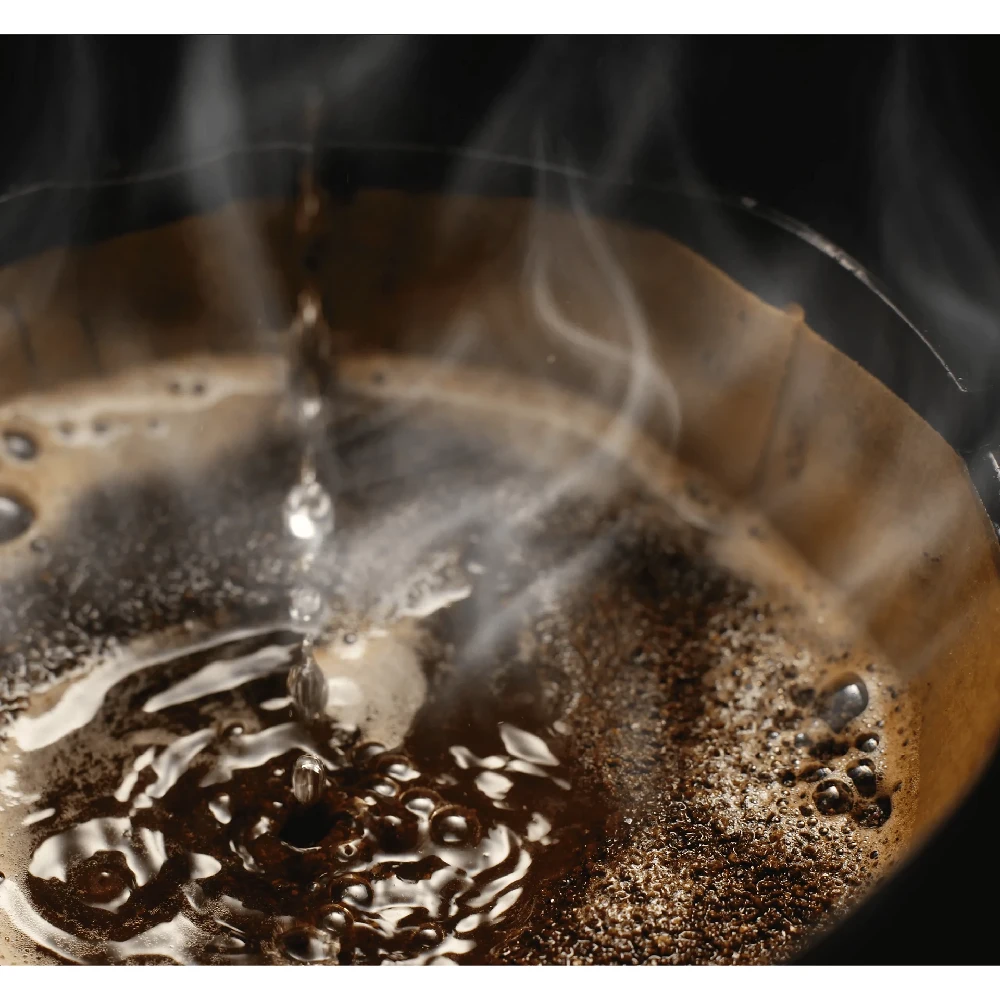 Philips HD7546/20 Cafe Gaia Metal Therm Filtre Kahve Makinesi