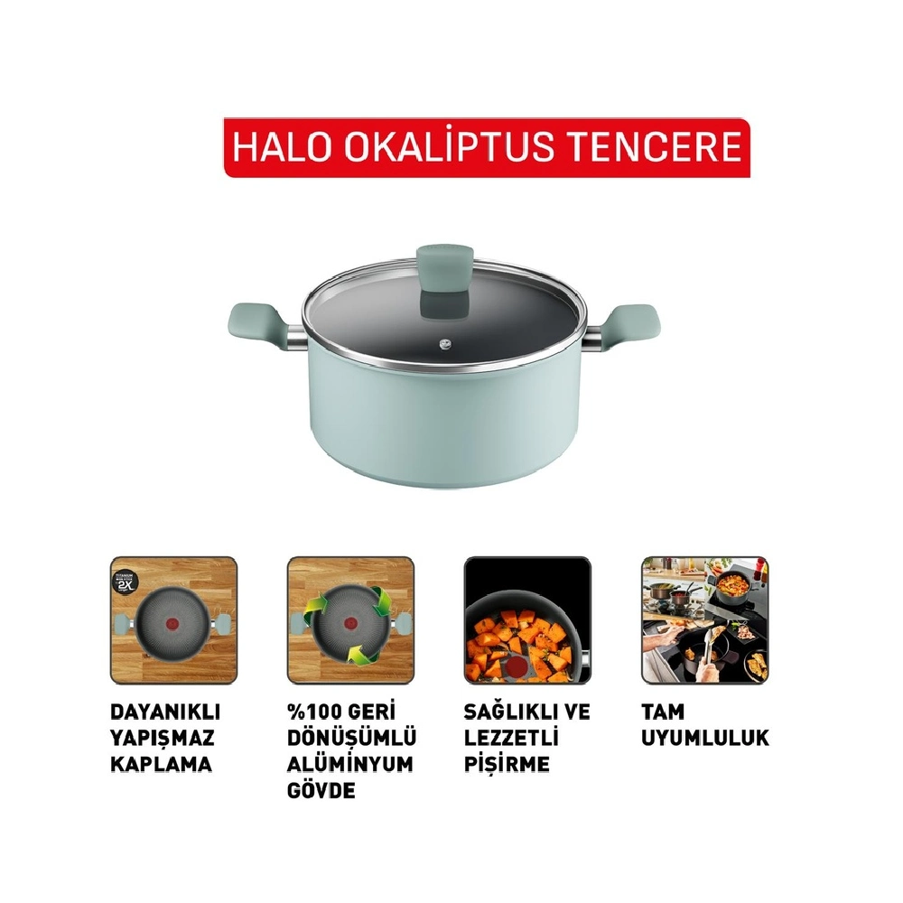 Tefal Halo Okaliptus 24 Cm Derin Tencere 2100143071