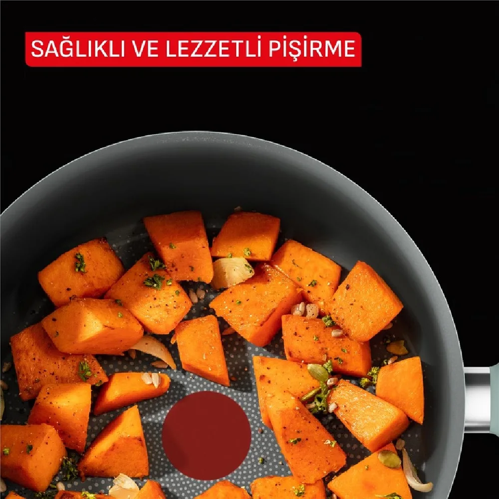 Tefal Halo Okaliptus 24 Cm Derin Tencere 2100143071