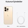 iPhone 13 Pro 512 Gb Akıllı Telefon Altın